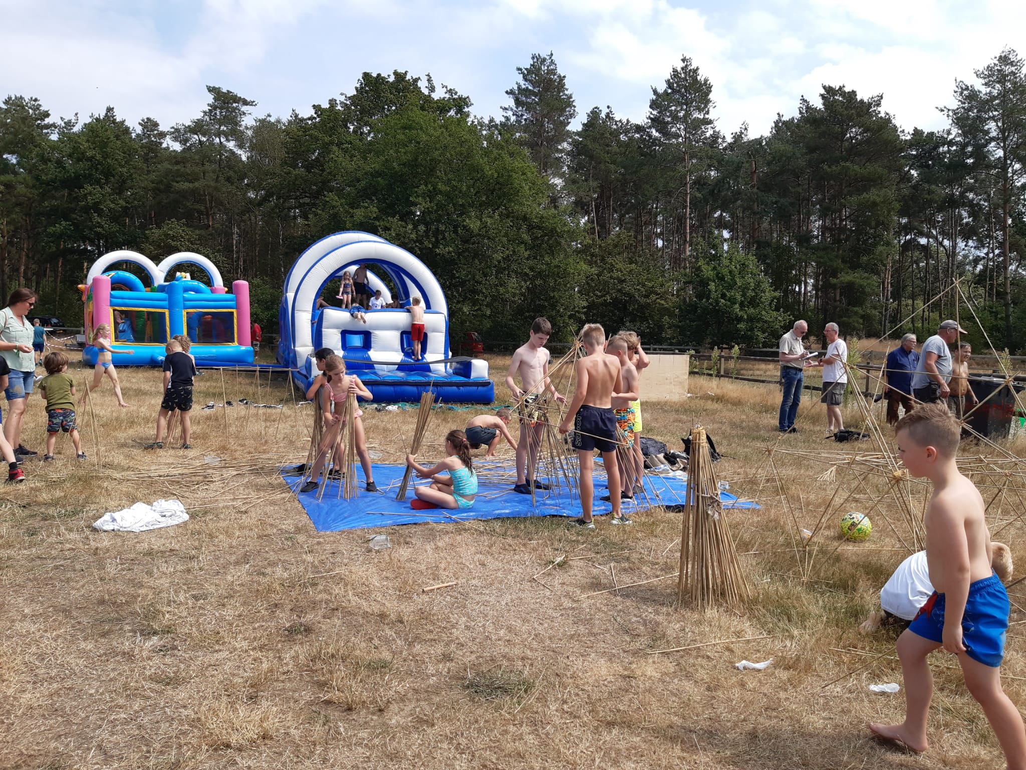 Foto’s VRIJDAG online
