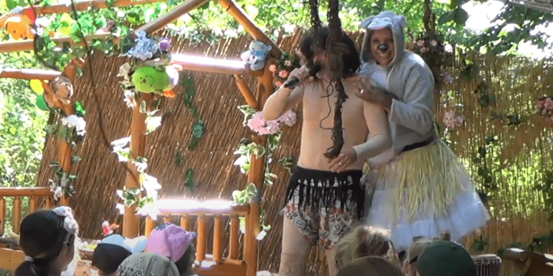 Videoverslag Kleine Bos online